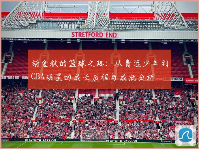 胡金秋的篮球之路：从青涩少年到CBA明星的成长历程与成就分析