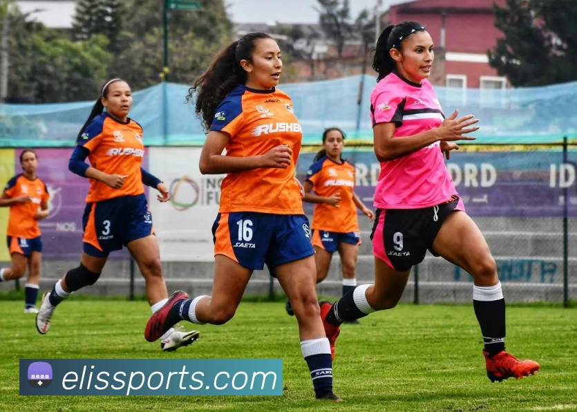 App Interface Preview