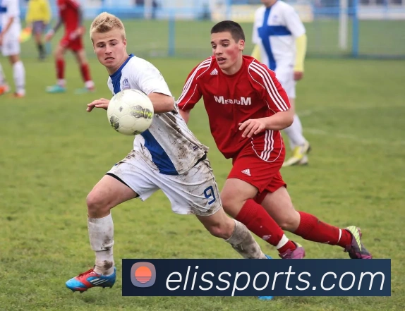 数据防护可视化